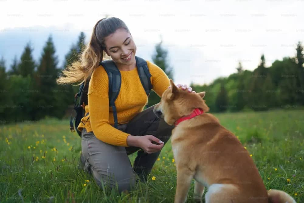 Eco-Friendly Dog Care