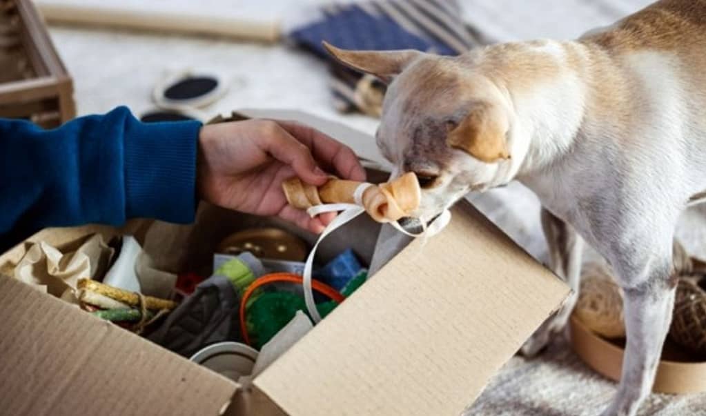 Cardboard Treasure Hunt