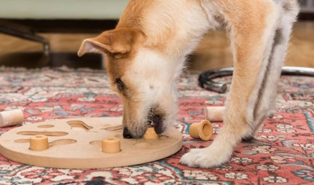 DIY Puzzle Box