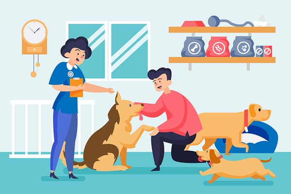 Best Therapy Dogs for Anxiety