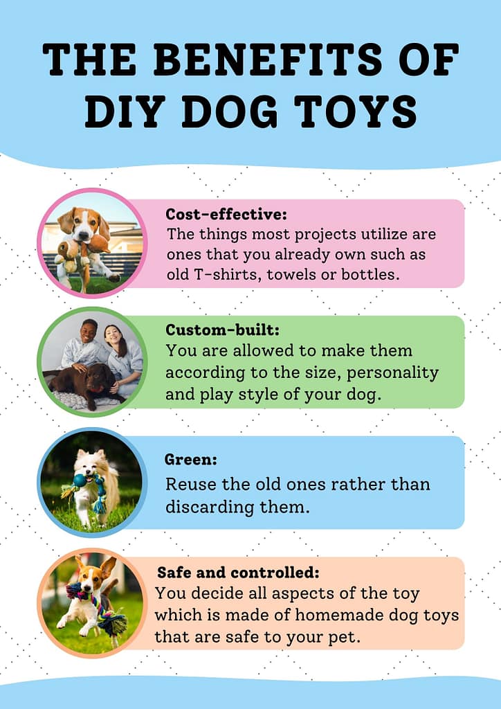 The Benefits of DIY Dog Toys