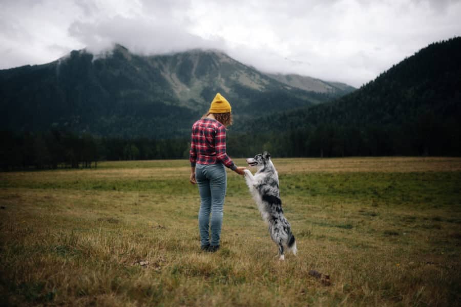 Mindfulness Practices for Stress-Free Dogs